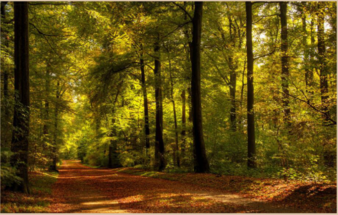 1642575823710685.png 2017071437357753.png